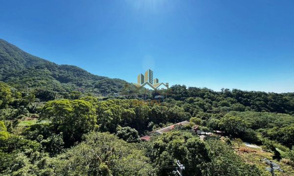 淡水區｜北新庄天元宮幽靜美套