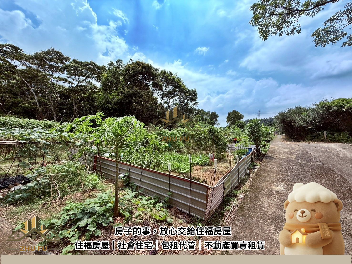 新竹縣｜【關西鎮】近交流道市區幽靜樂活農地