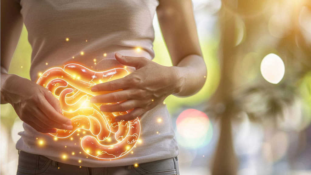 【腸道科學】阿茲海默症源頭可能在腸道？醫揭「發炎老化」真相