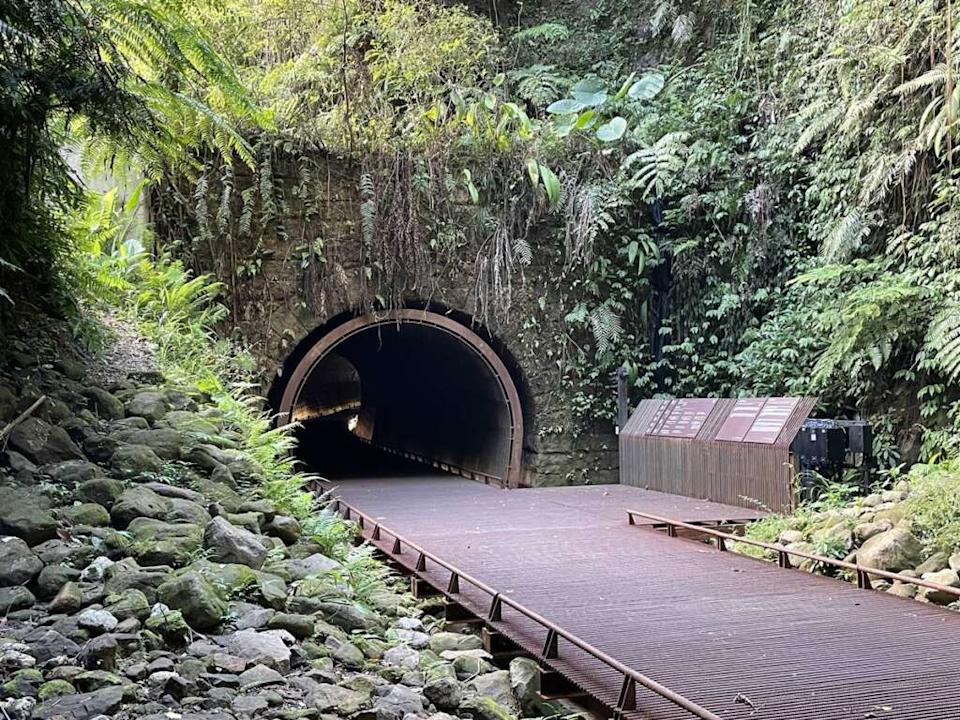 季節換景不換感動 三貂嶺生態友善隧道迎來蝶舞新魅力